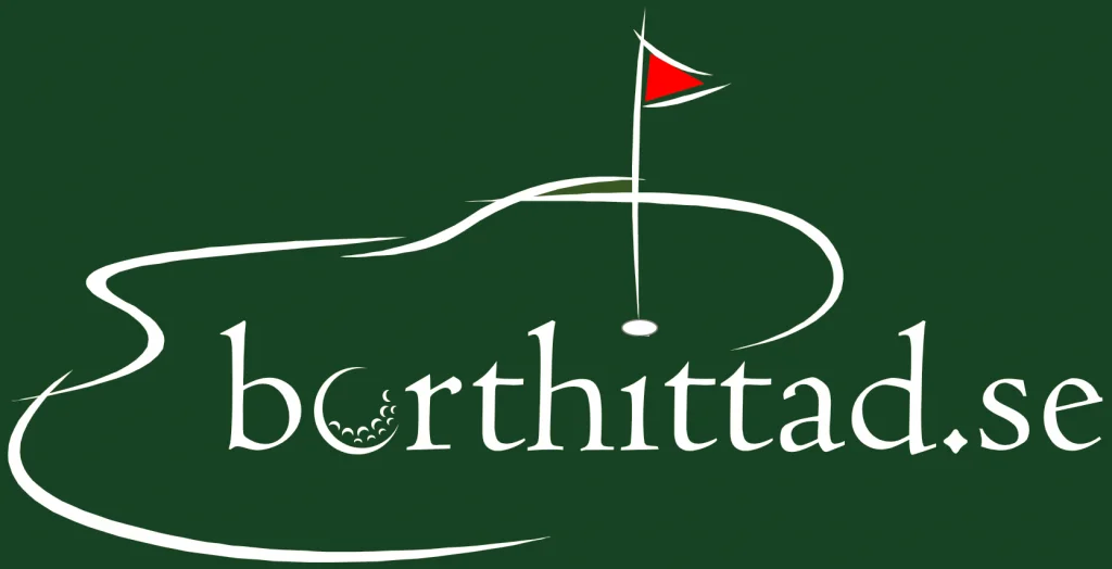 Borthittad.se